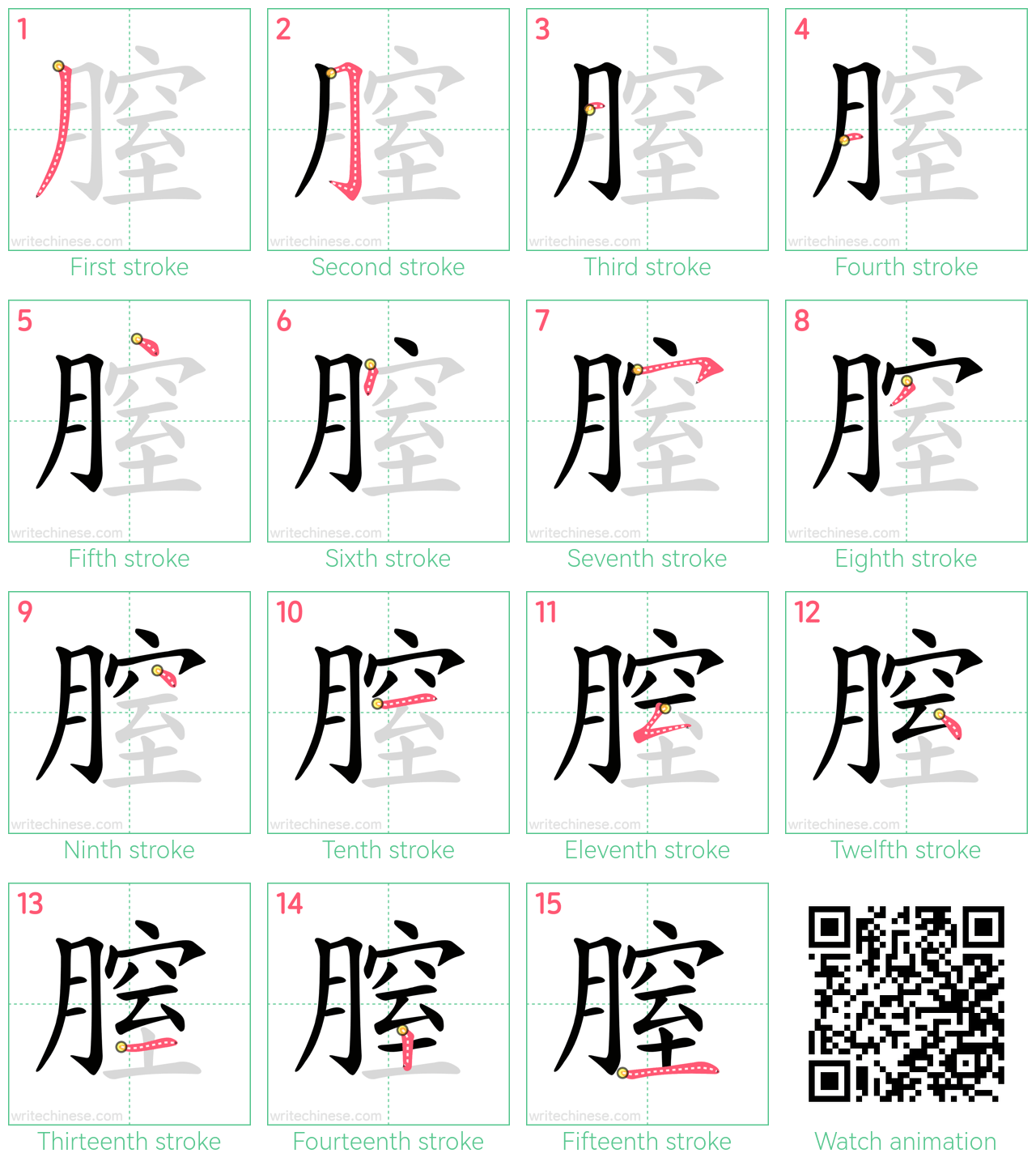 膣 step-by-step stroke order diagrams