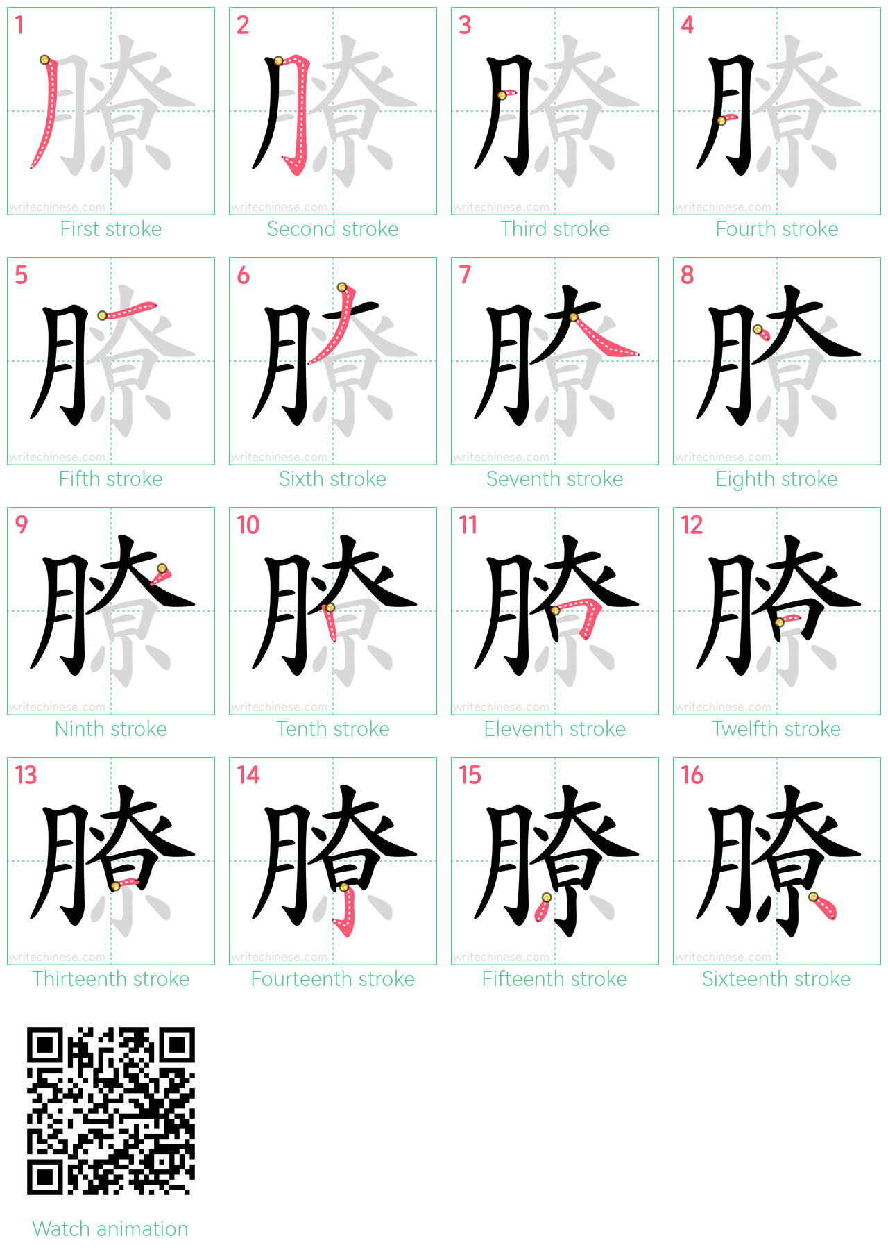 膫 step-by-step stroke order diagrams