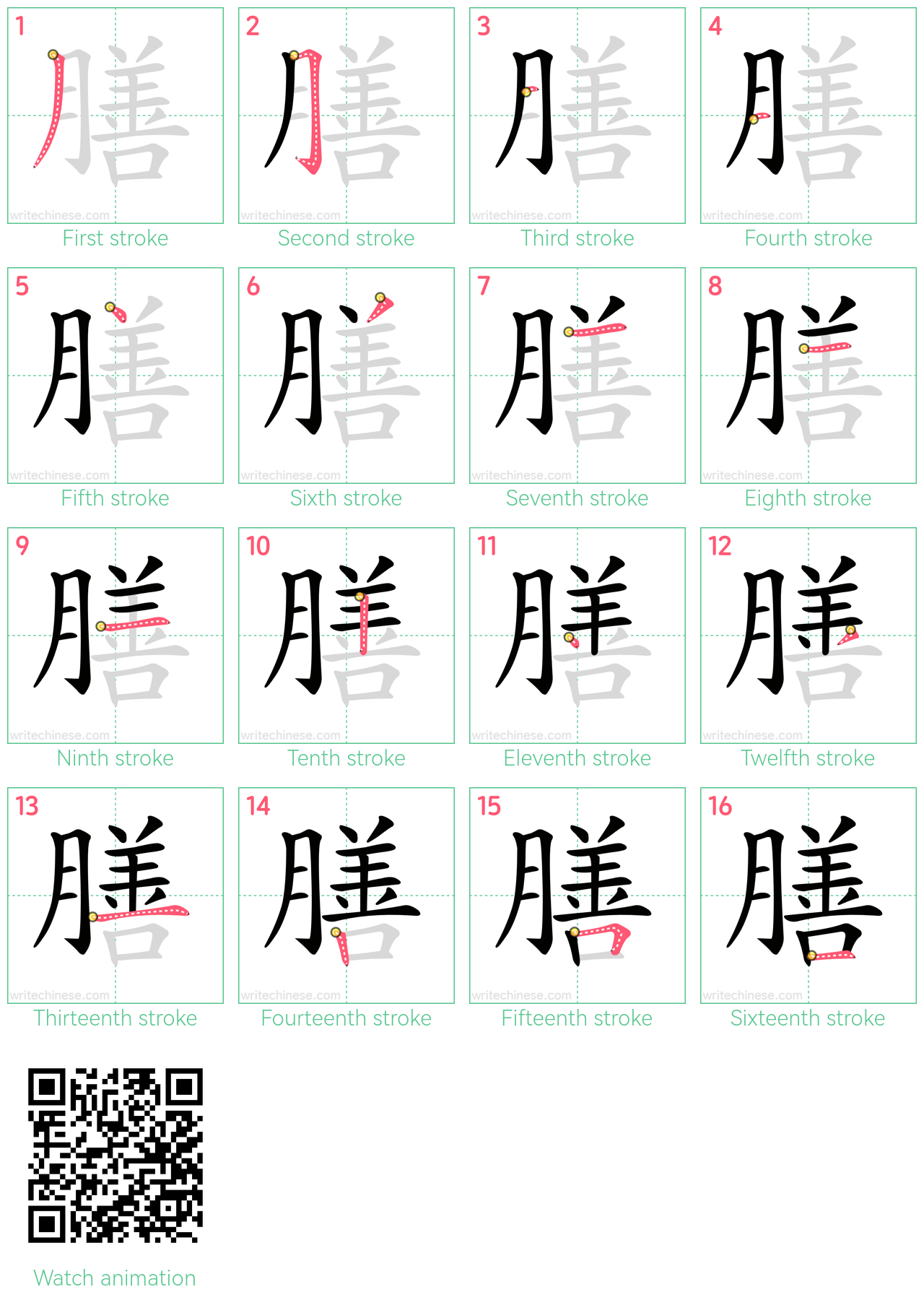 膳 step-by-step stroke order diagrams