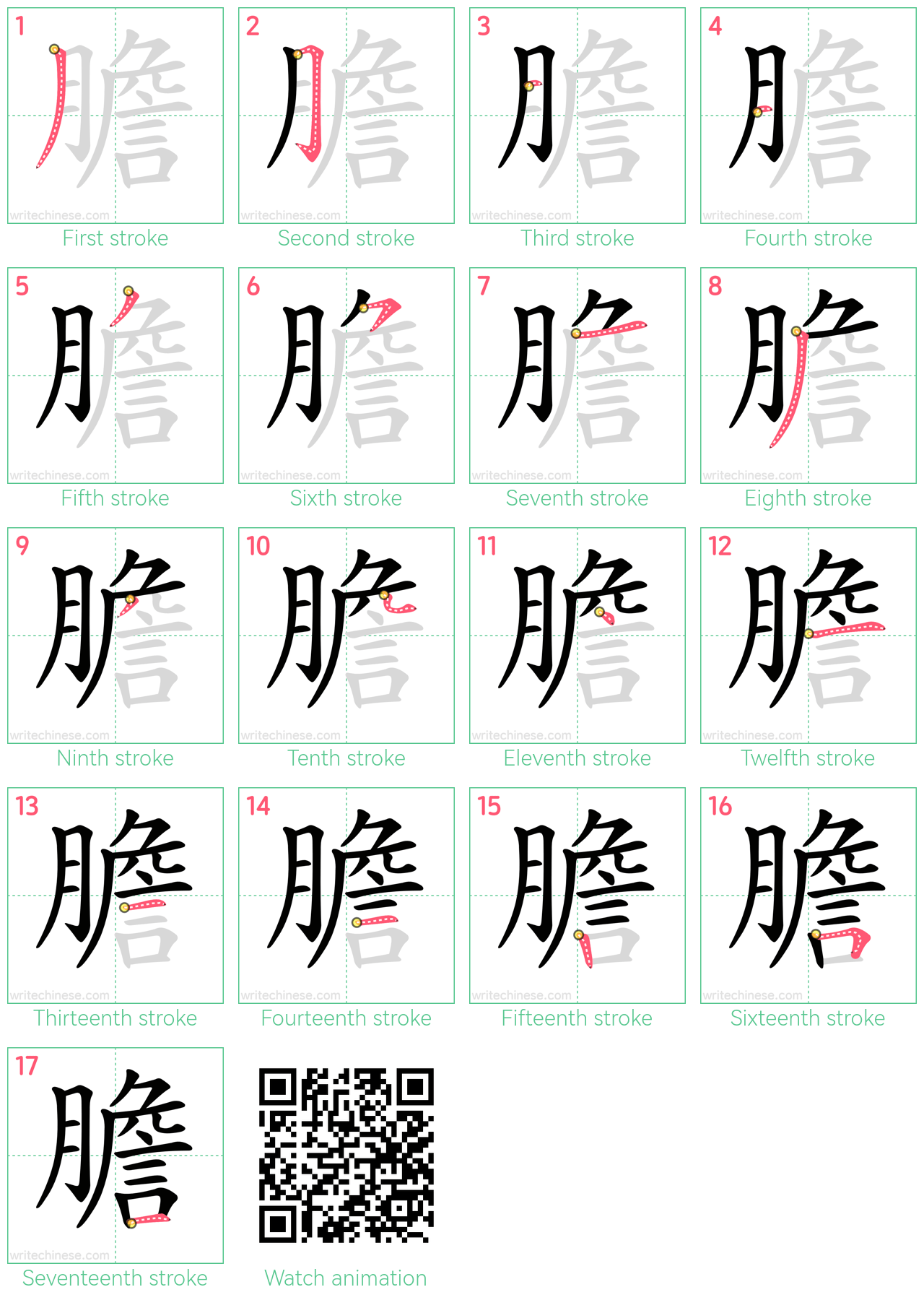 膽 step-by-step stroke order diagrams