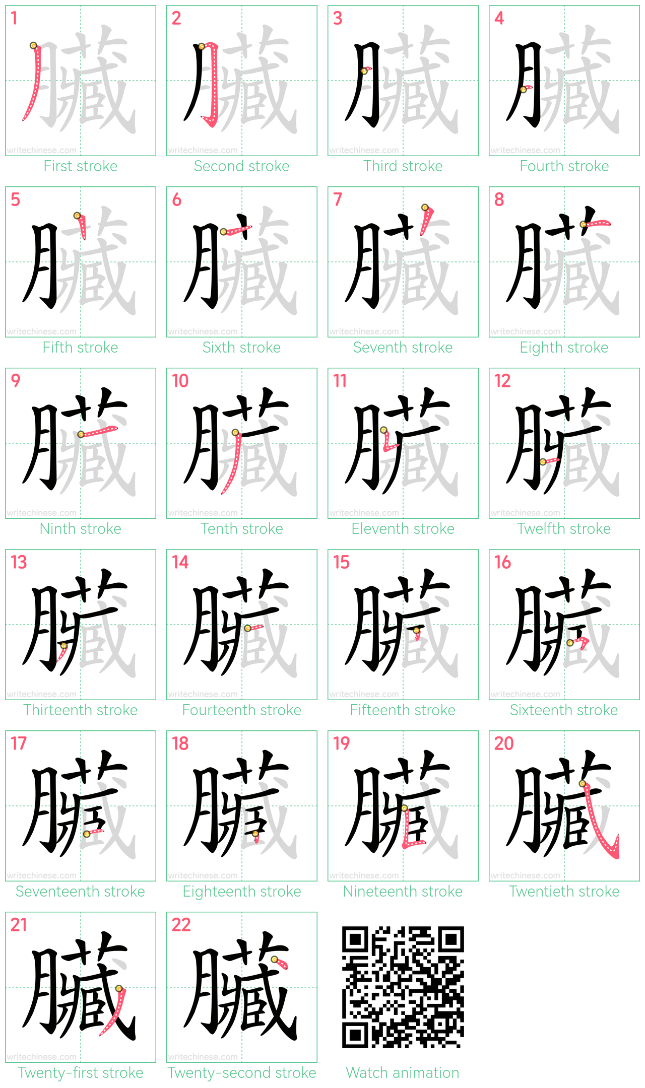 臟 step-by-step stroke order diagrams