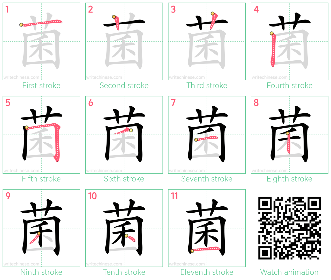 菌 step-by-step stroke order diagrams