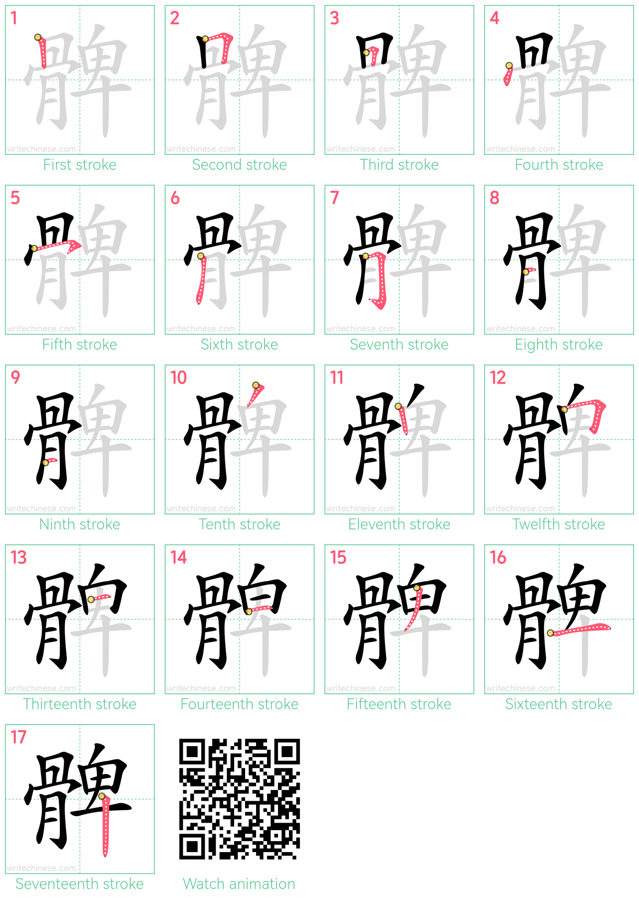 髀 step-by-step stroke order diagrams