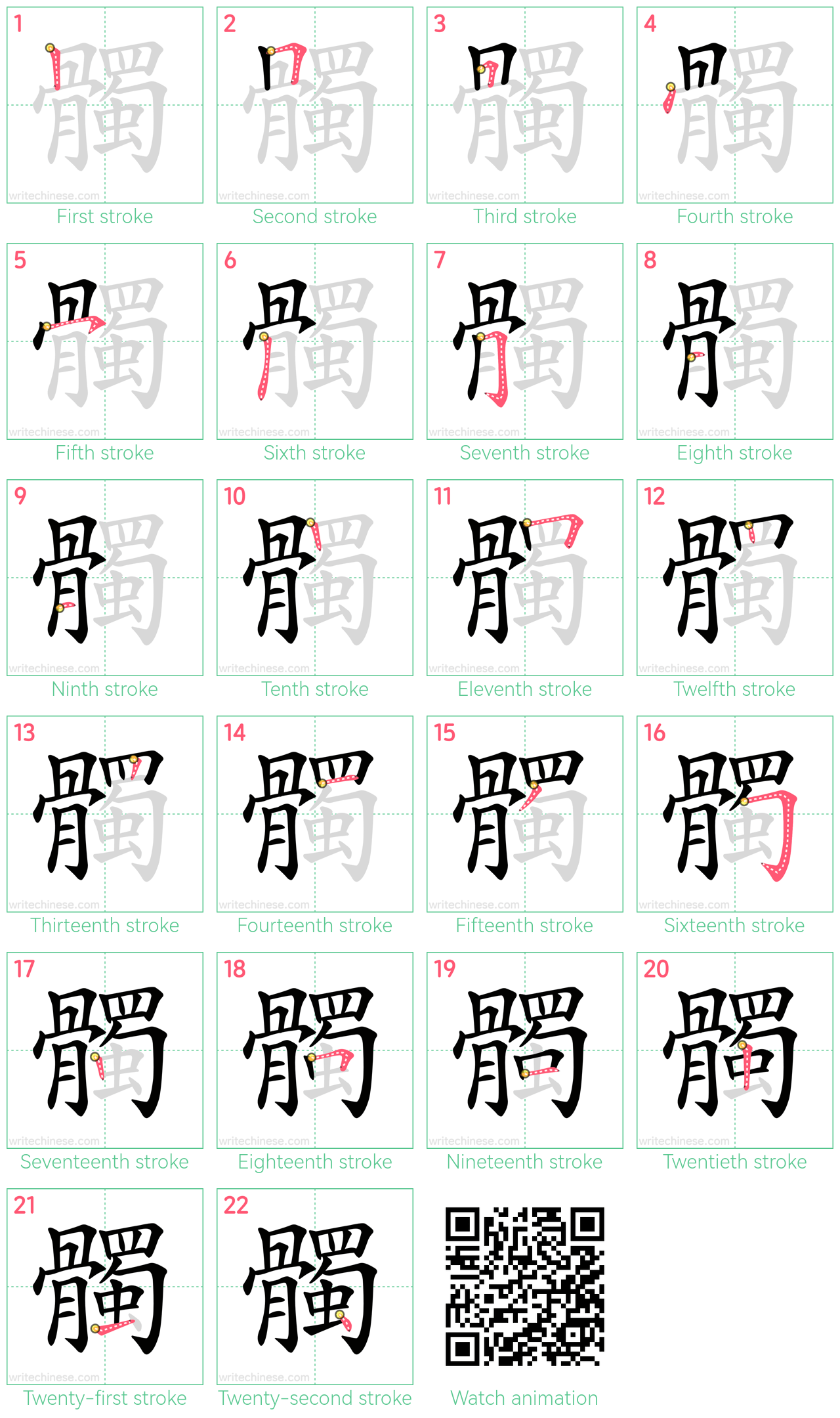 髑 step-by-step stroke order diagrams