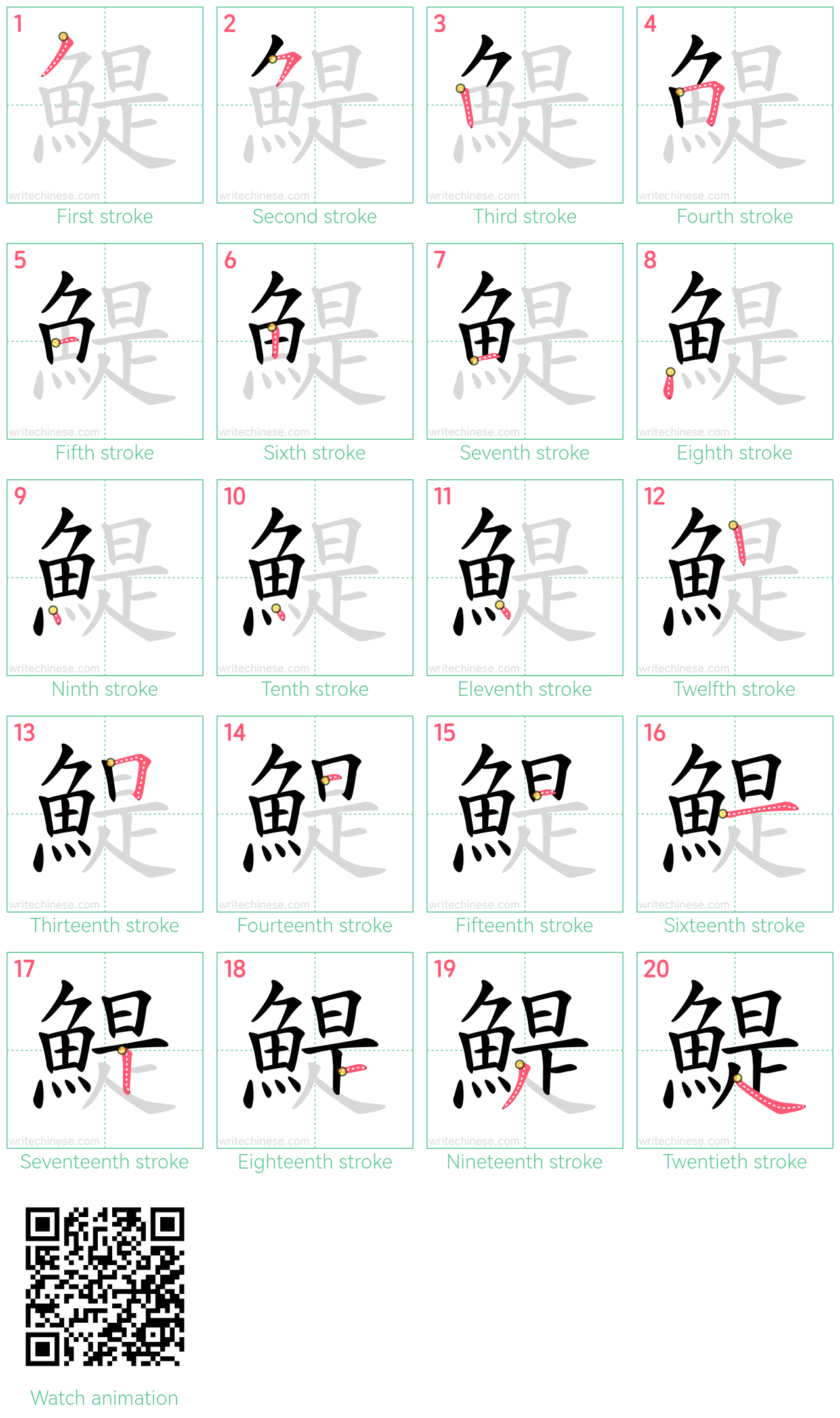 鯷 step-by-step stroke order diagrams