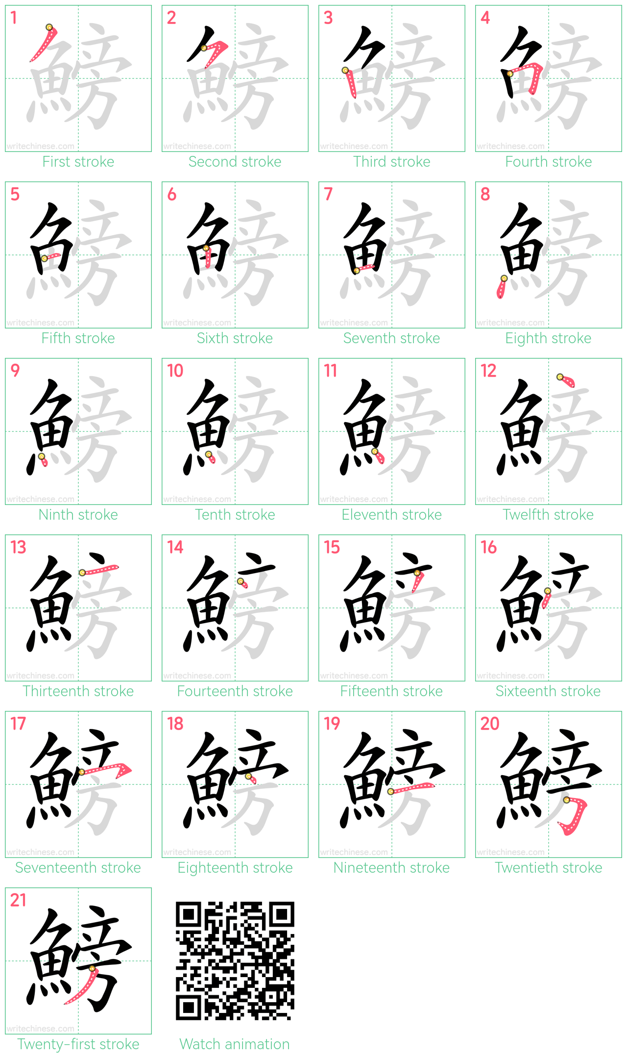 鰟 step-by-step stroke order diagrams