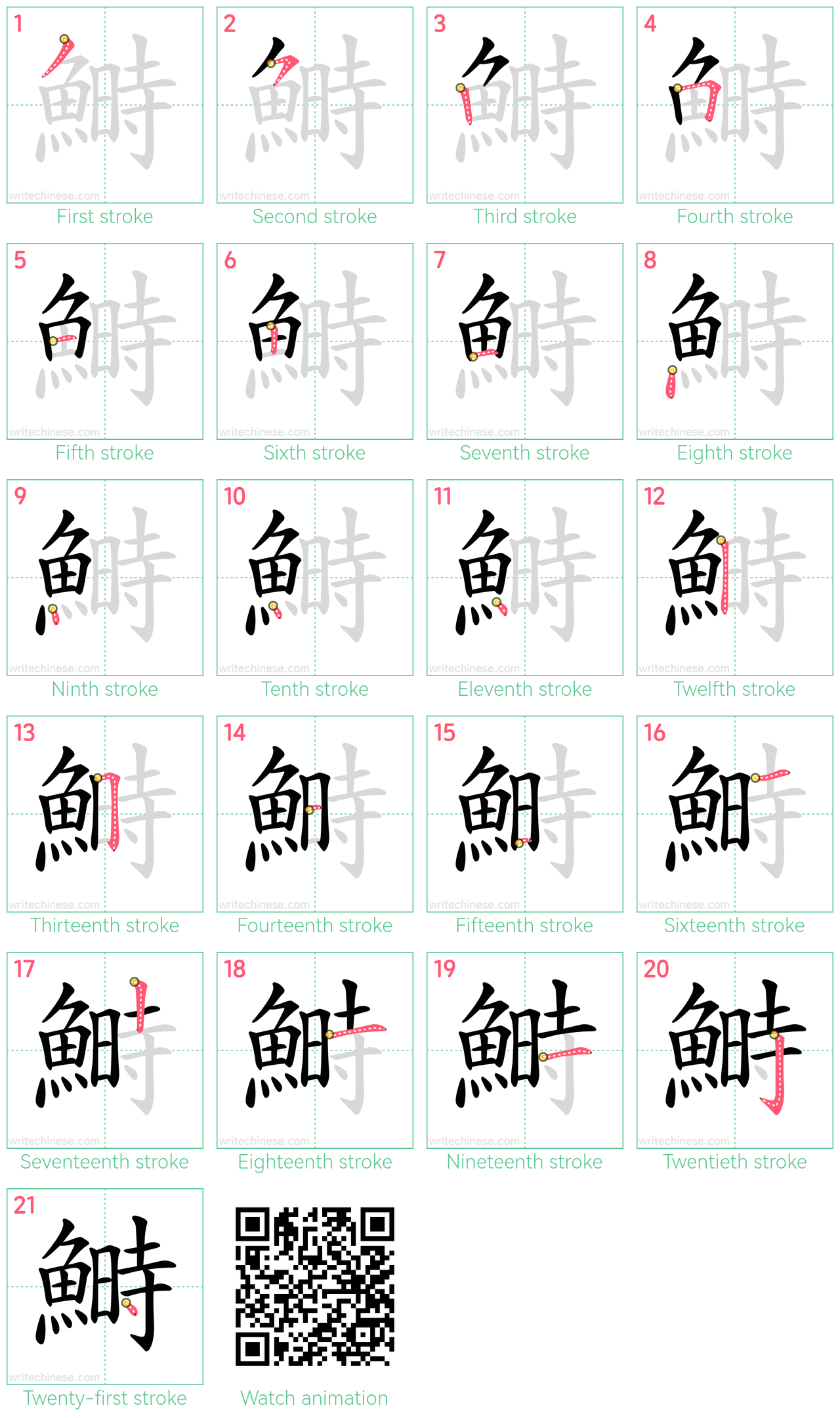 鰣 step-by-step stroke order diagrams