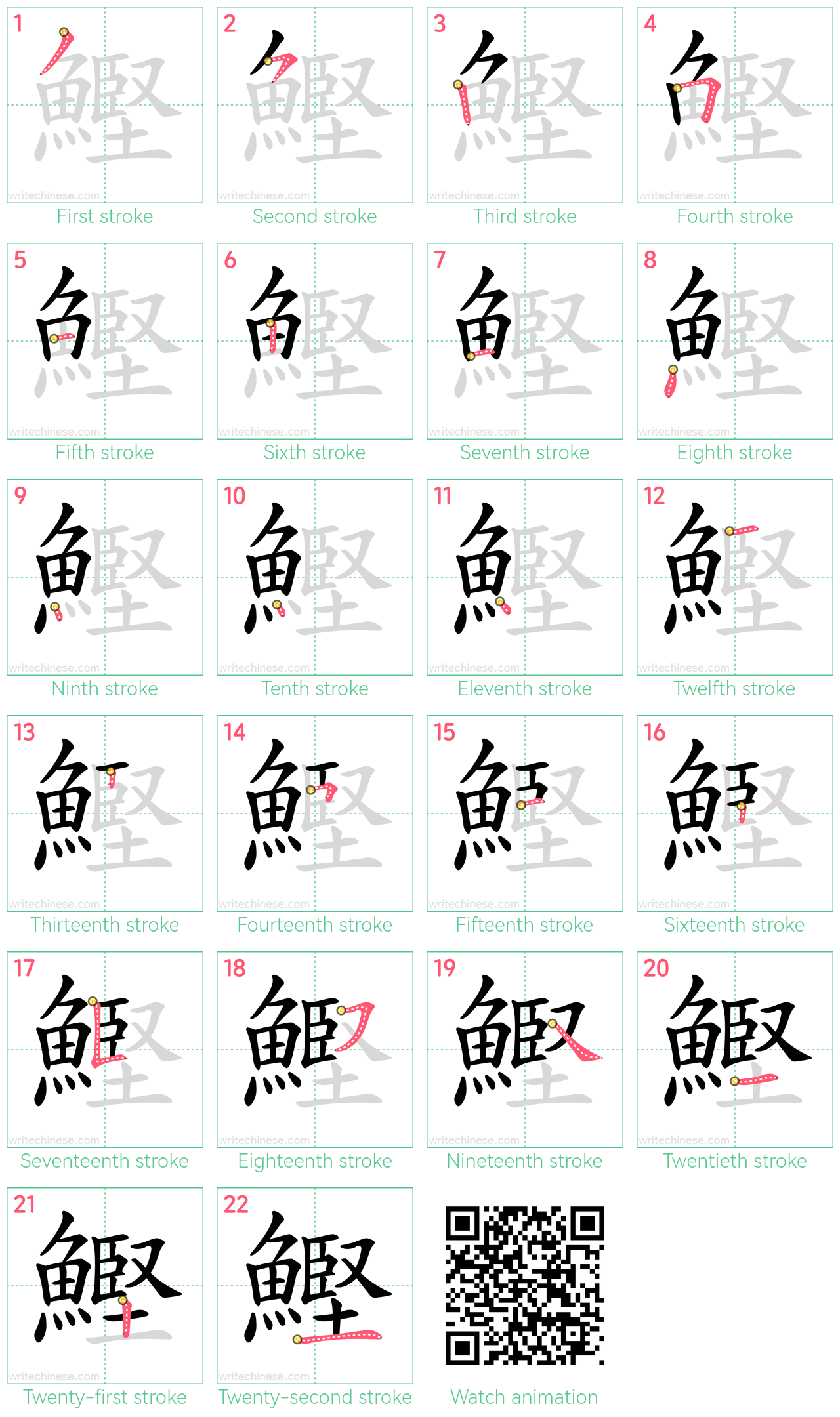 鰹 step-by-step stroke order diagrams