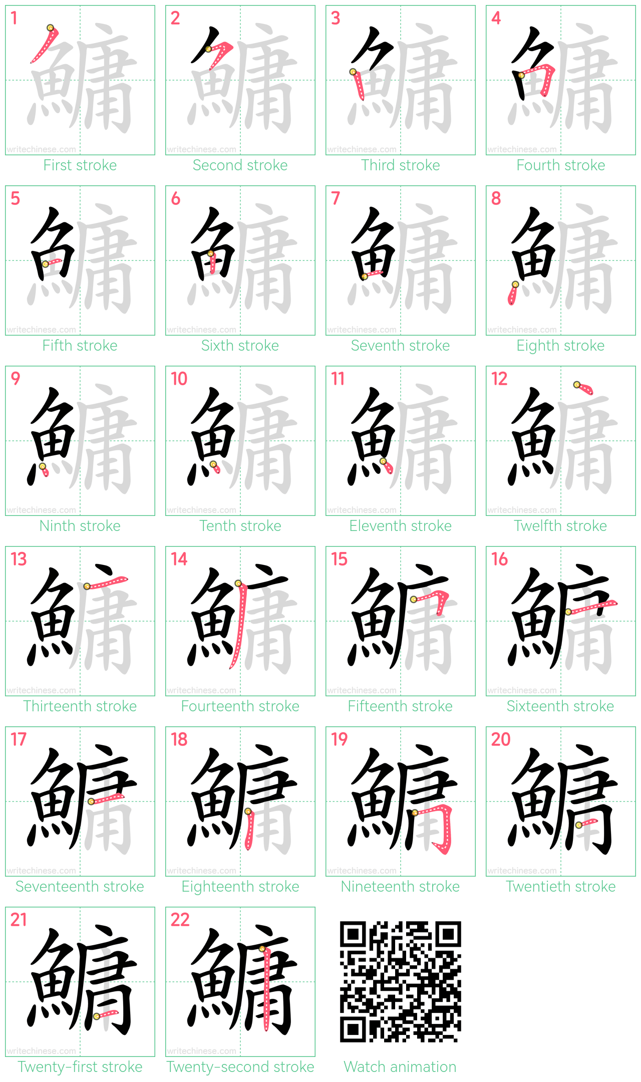 鱅 step-by-step stroke order diagrams