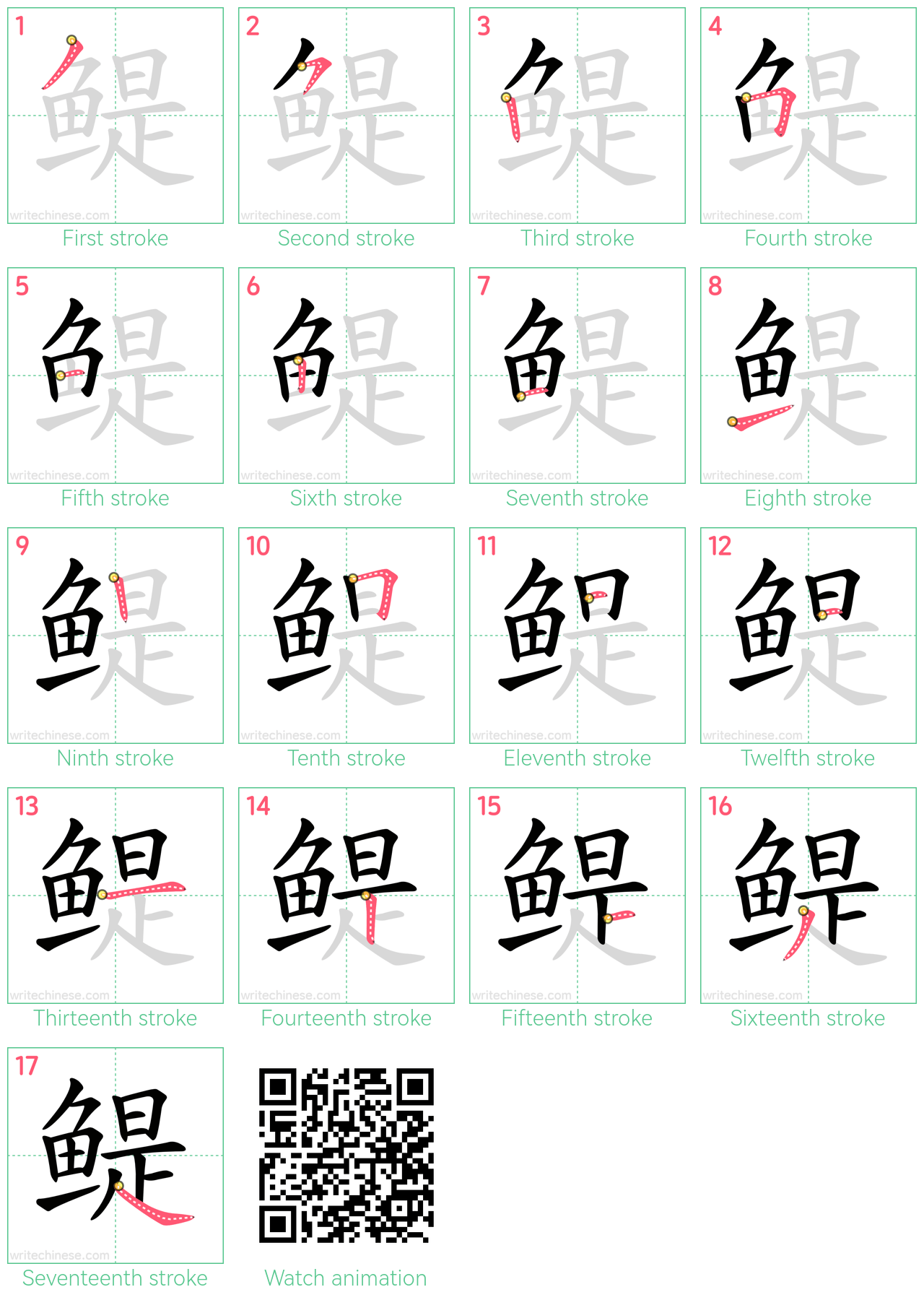 鳀 step-by-step stroke order diagrams