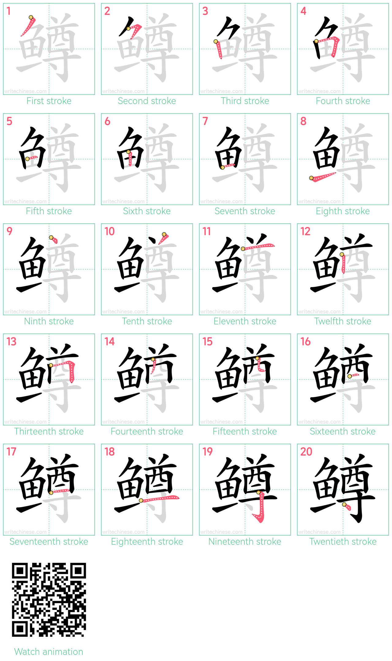 鳟 step-by-step stroke order diagrams