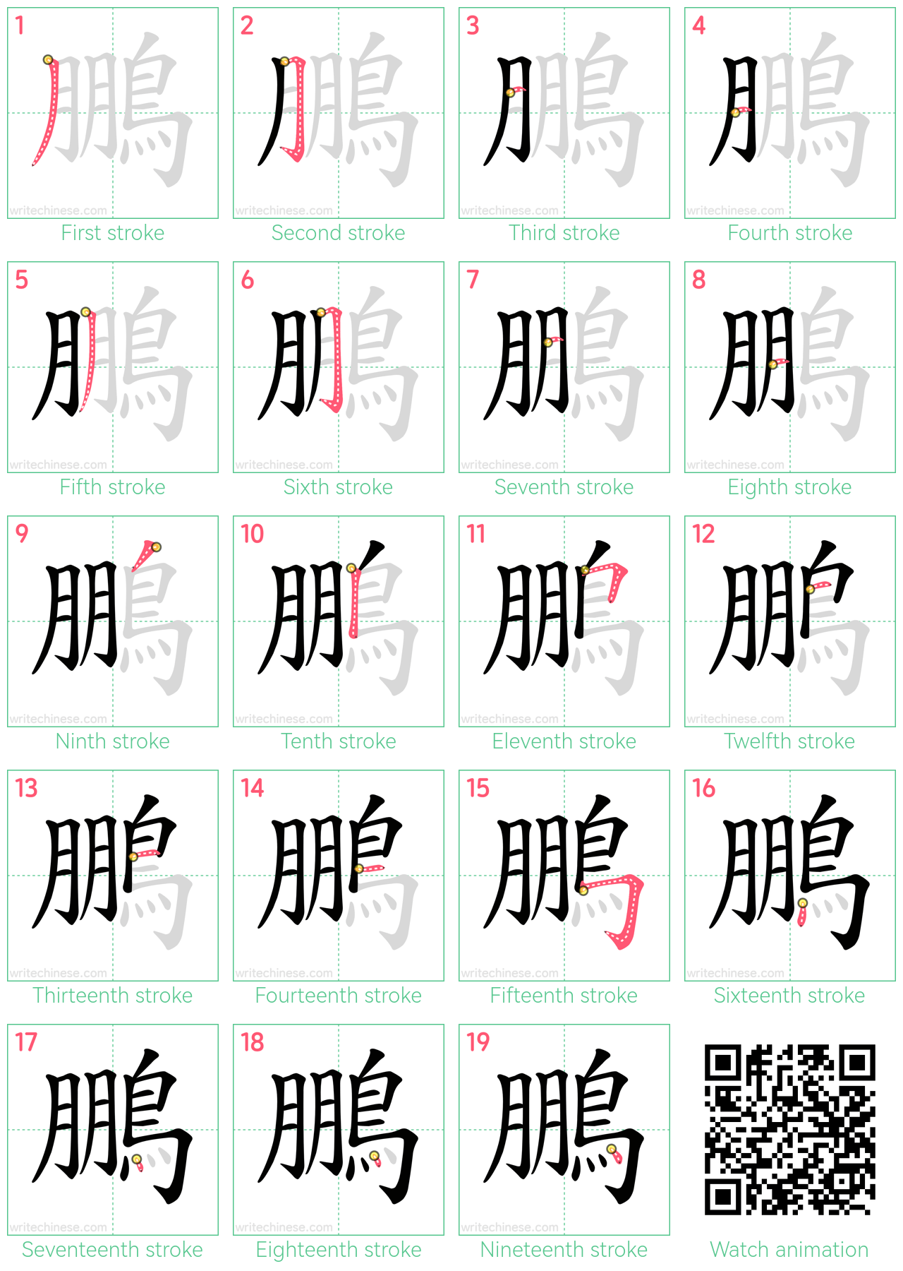 鵬 step-by-step stroke order diagrams