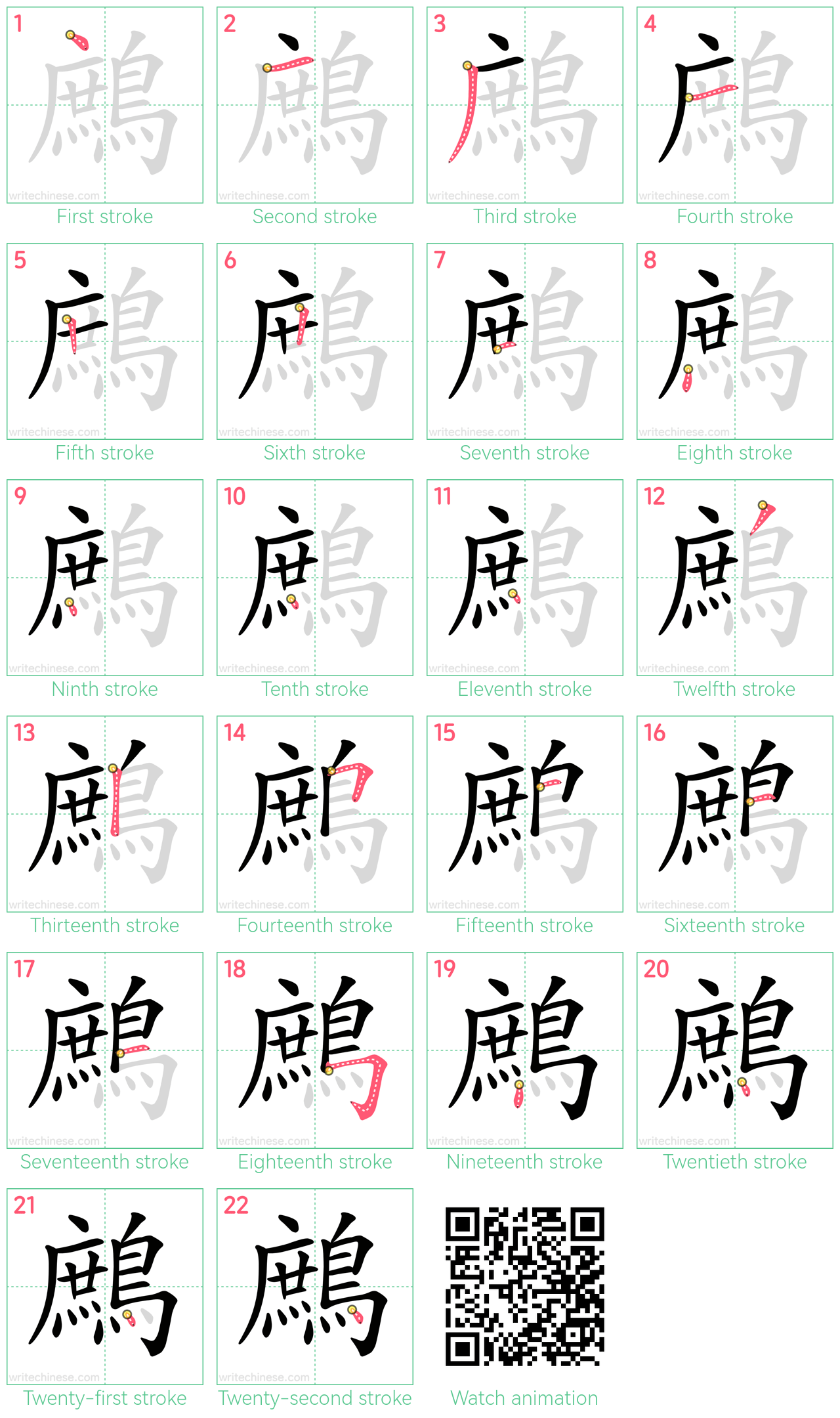 鷓 step-by-step stroke order diagrams