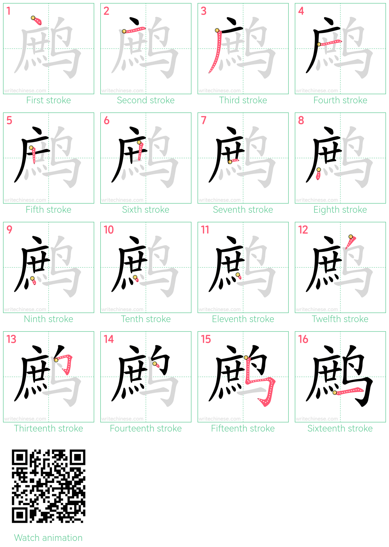 鹧 step-by-step stroke order diagrams