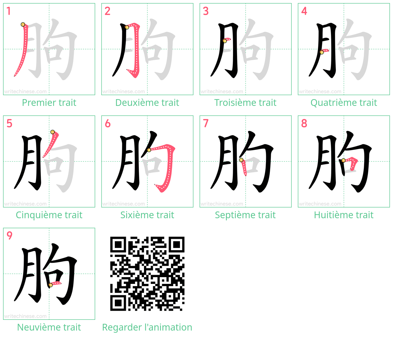 Diagrammes d'ordre des traits étape par étape pour le caractère 朐