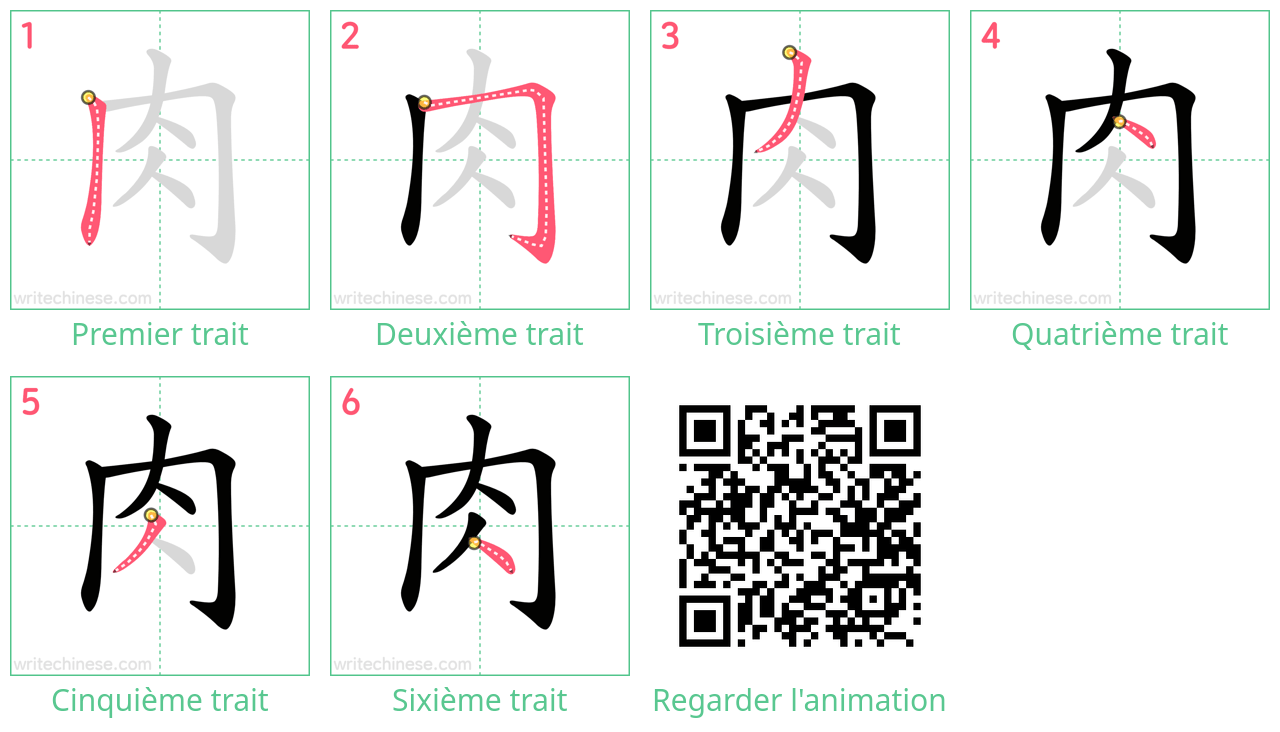 Diagrammes d'ordre des traits étape par étape pour le caractère 肉