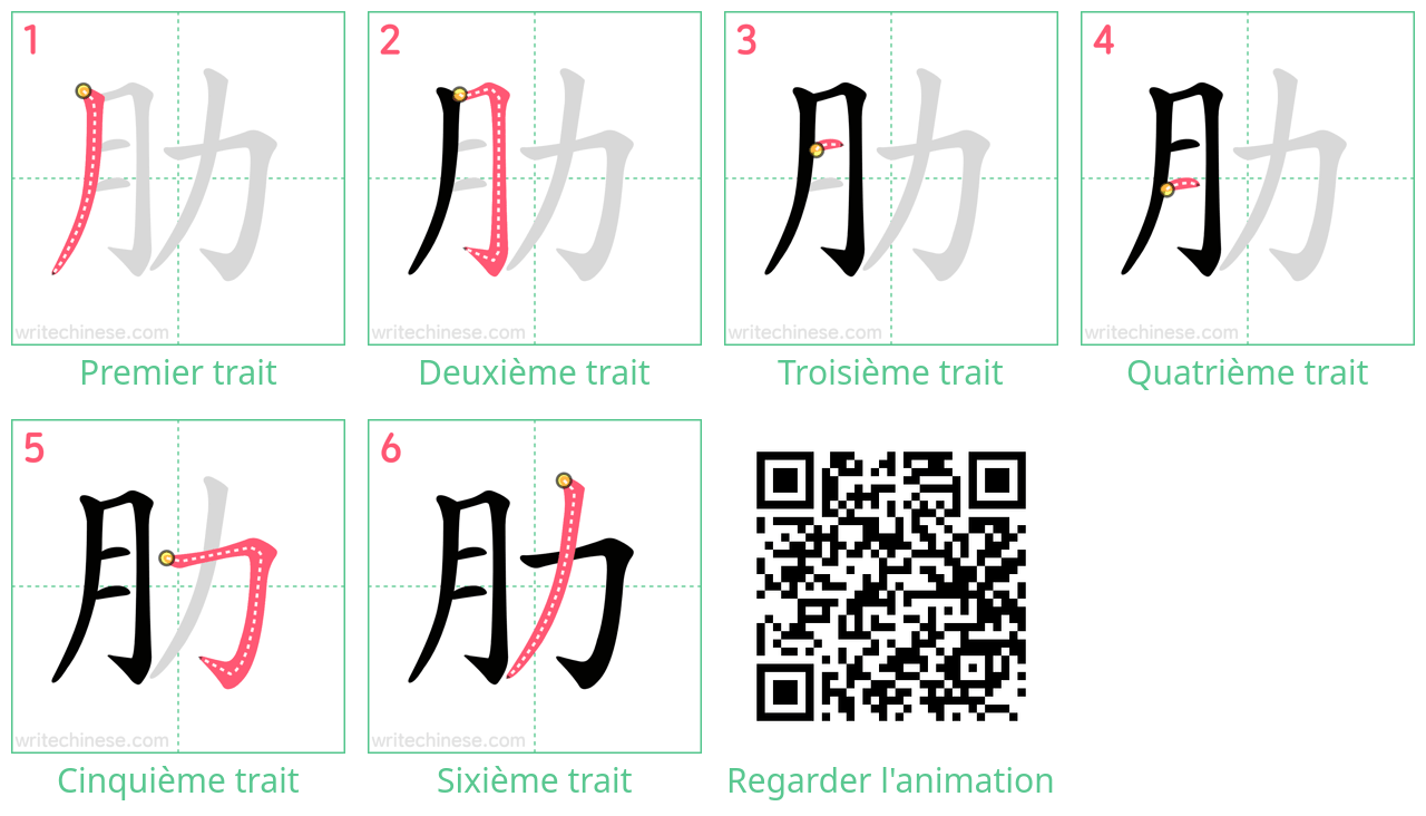 Diagrammes d'ordre des traits étape par étape pour le caractère 肋