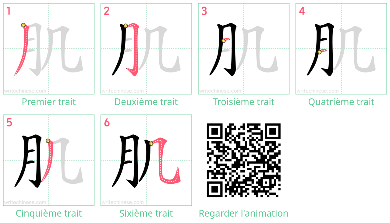 Diagrammes d'ordre des traits étape par étape pour le caractère 肌