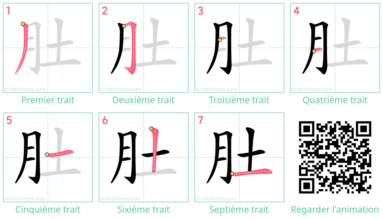Diagrammes d'ordre des traits étape par étape pour le caractère 肚