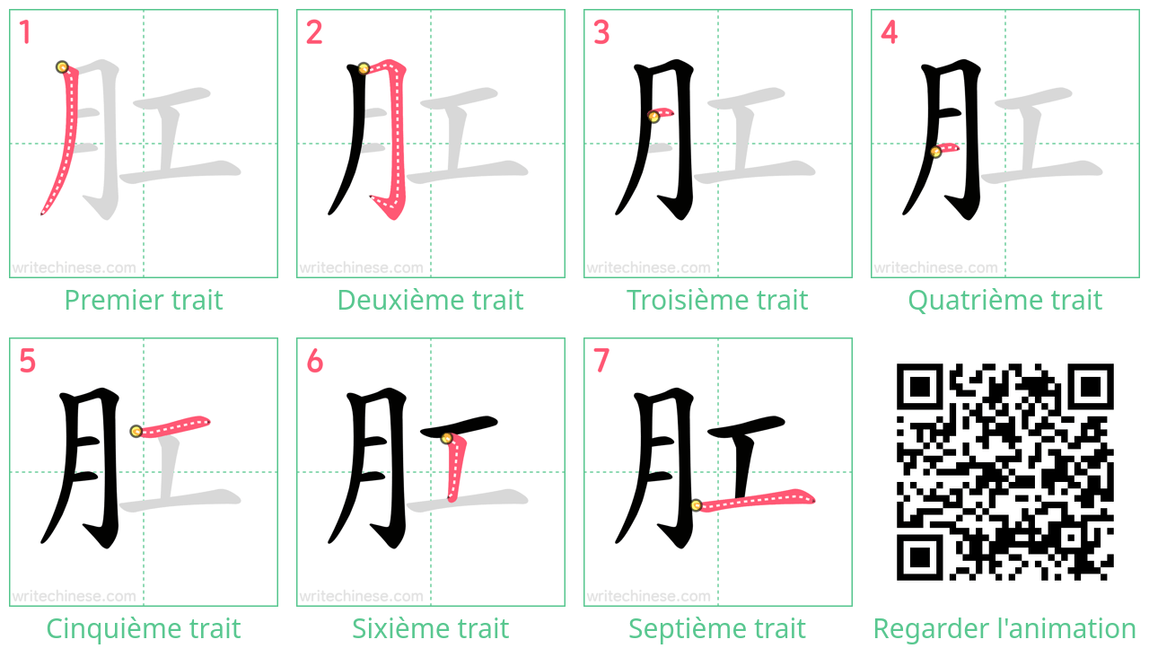 Diagrammes d'ordre des traits étape par étape pour le caractère 肛