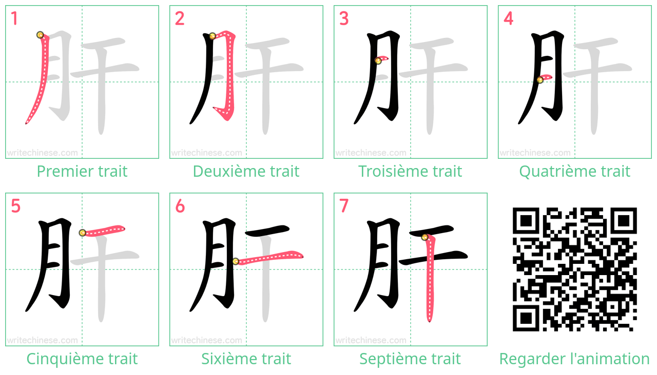 Diagrammes d'ordre des traits étape par étape pour le caractère 肝