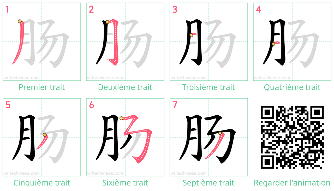 Diagrammes d'ordre des traits étape par étape pour le caractère 肠