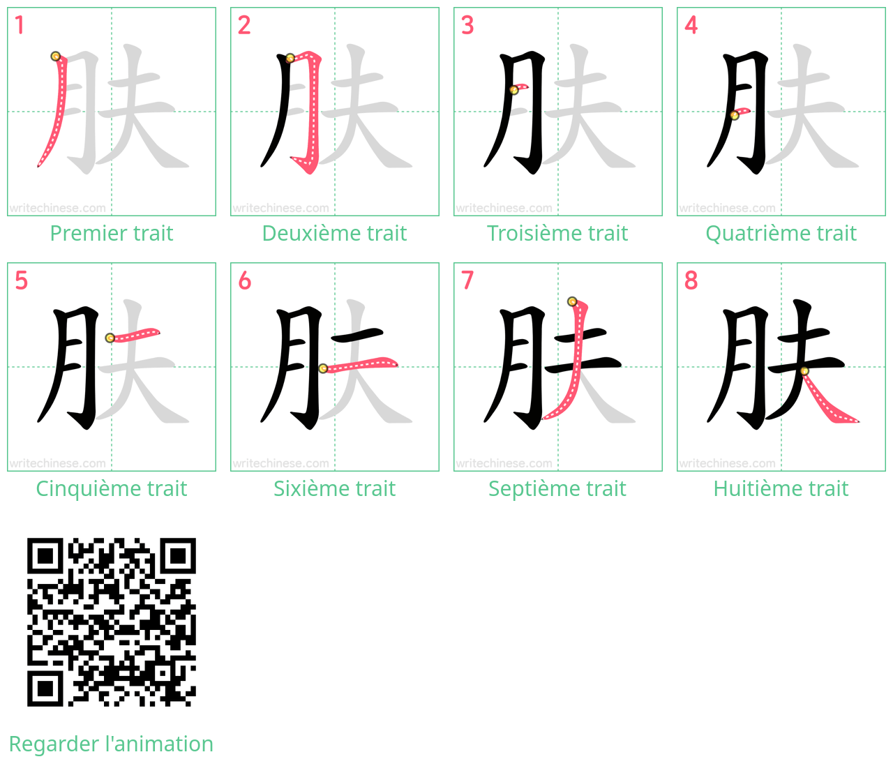 Diagrammes d'ordre des traits étape par étape pour le caractère 肤