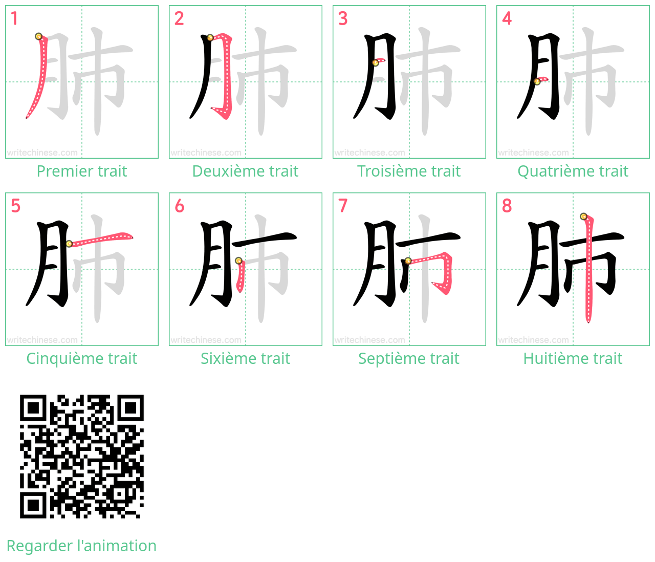 Diagrammes d'ordre des traits étape par étape pour le caractère 肺