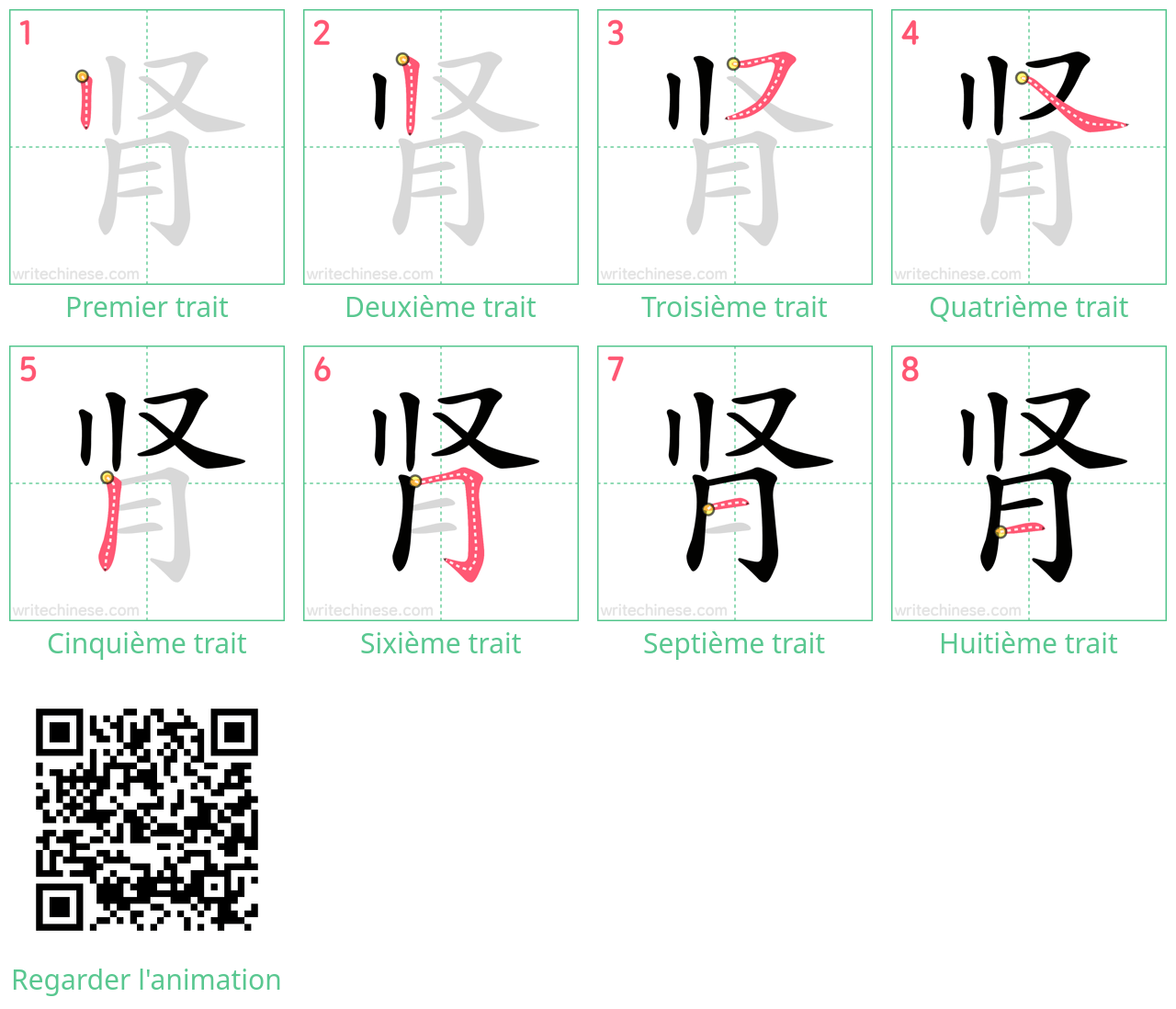Diagrammes d'ordre des traits étape par étape pour le caractère 肾