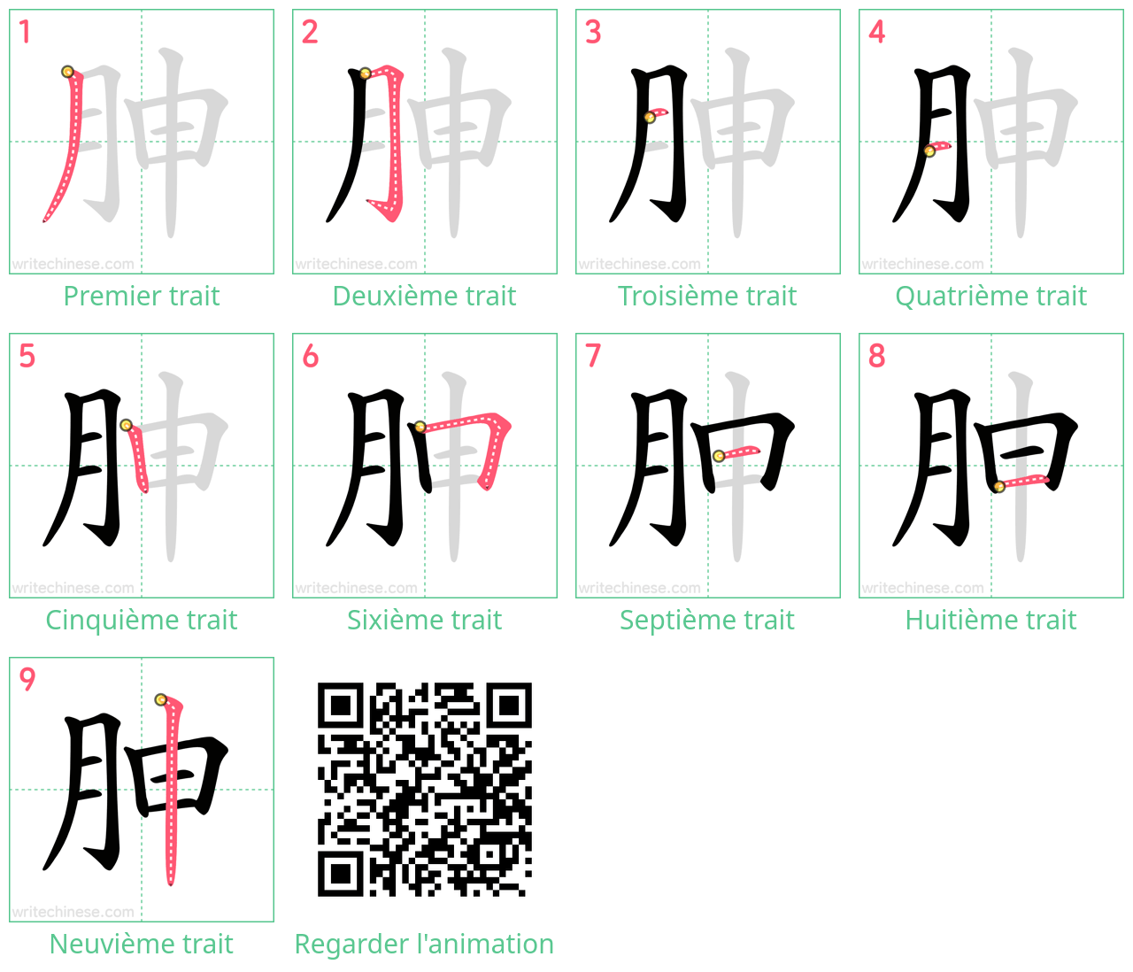 Diagrammes d'ordre des traits étape par étape pour le caractère 胂