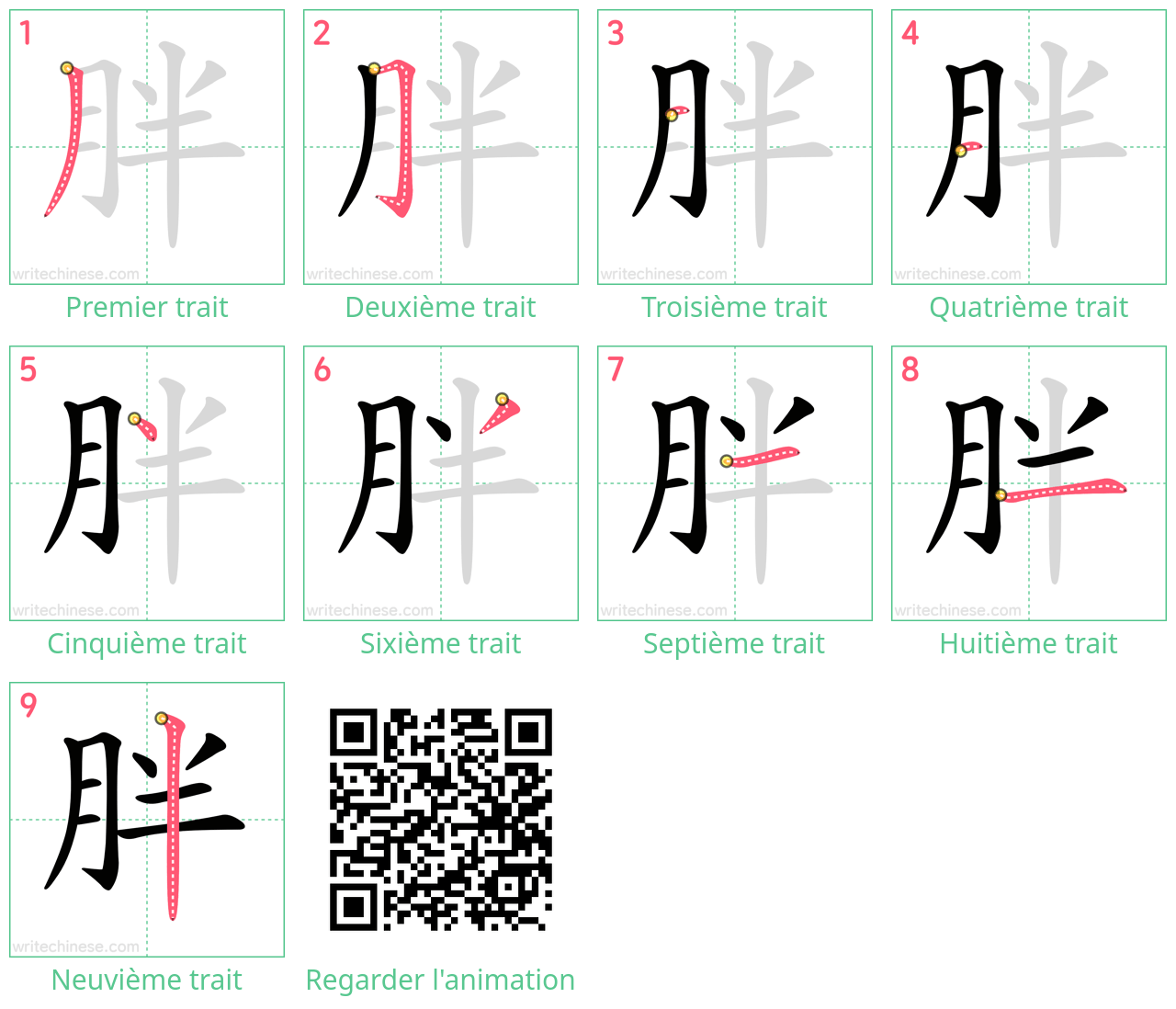 Diagrammes d'ordre des traits étape par étape pour le caractère 胖