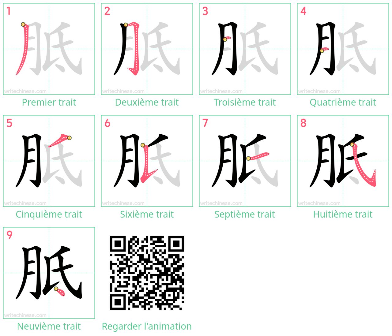 Diagrammes d'ordre des traits étape par étape pour le caractère 胝