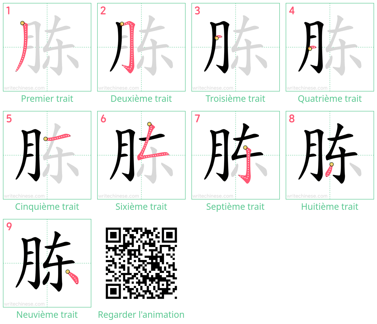 Diagrammes d'ordre des traits étape par étape pour le caractère 胨