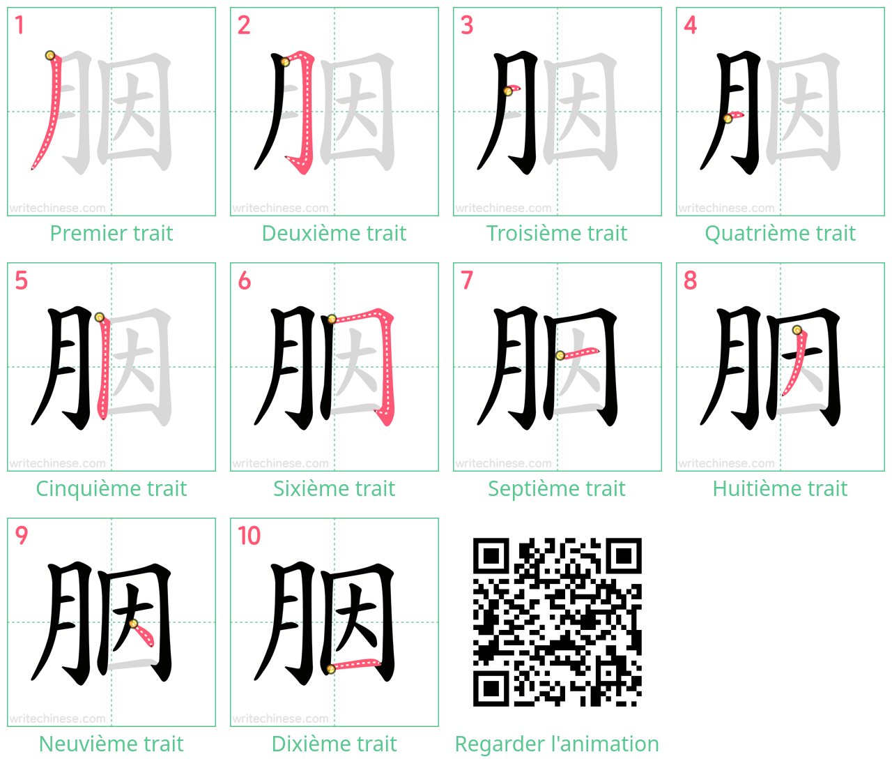 Diagrammes d'ordre des traits étape par étape pour le caractère 胭