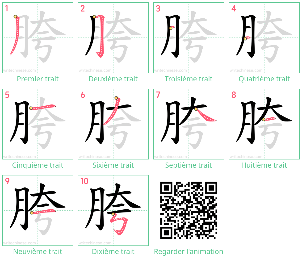 Diagrammes d'ordre des traits étape par étape pour le caractère 胯