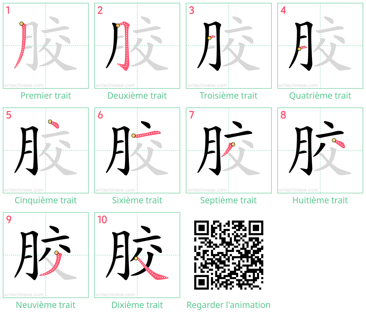 Diagrammes d'ordre des traits étape par étape pour le caractère 胶