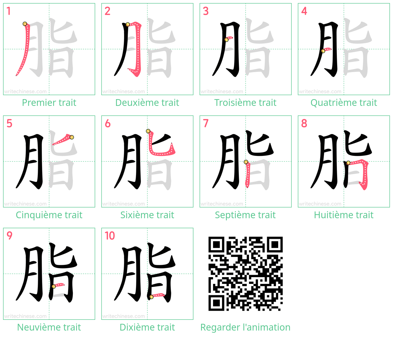 Diagrammes d'ordre des traits étape par étape pour le caractère 脂