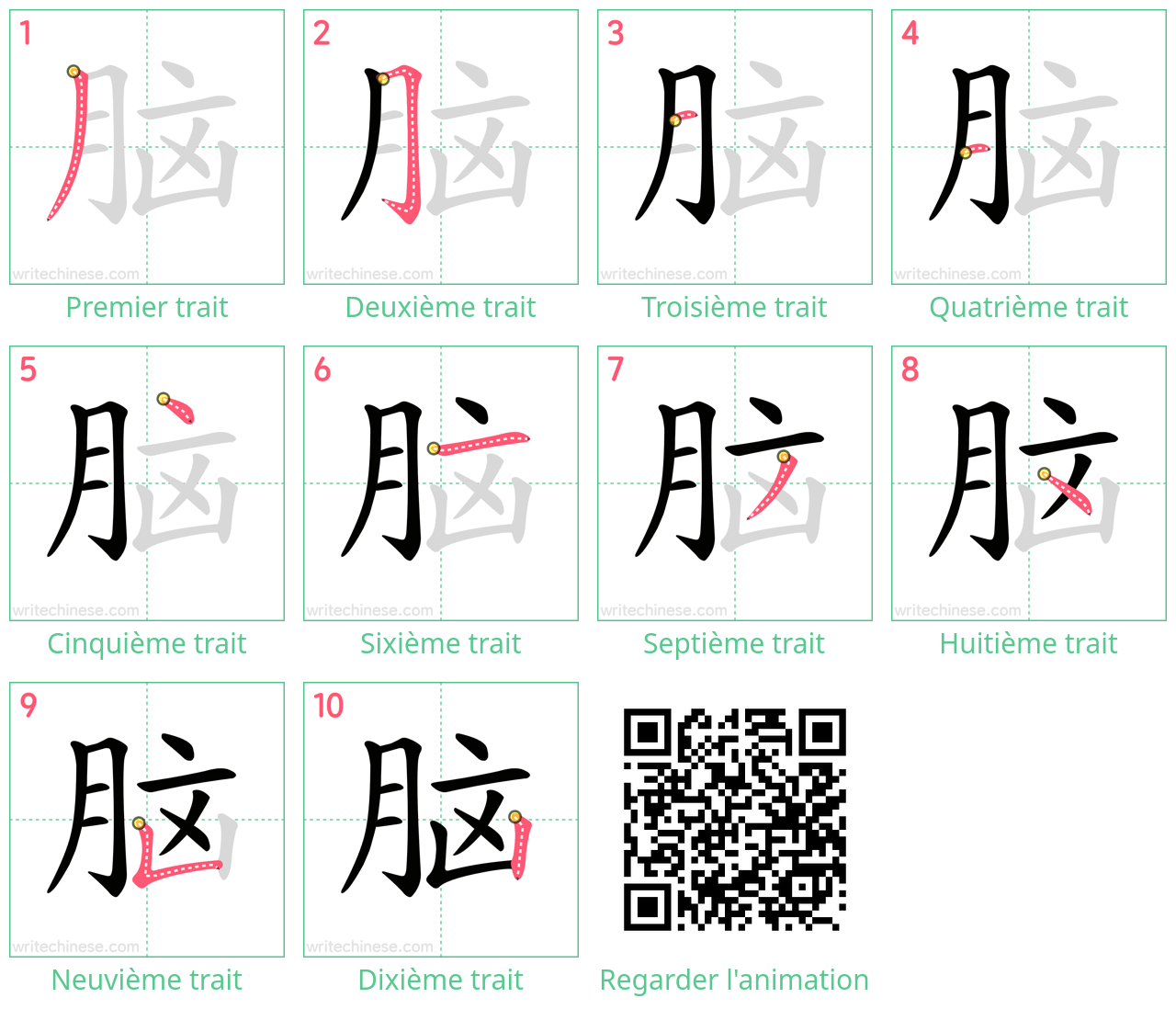 Diagrammes d'ordre des traits étape par étape pour le caractère 脑