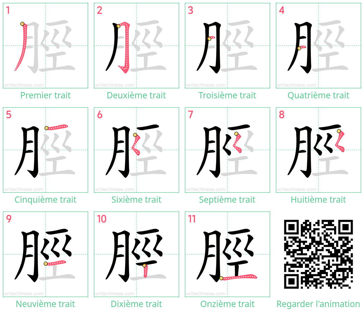 Diagrammes d'ordre des traits étape par étape pour le caractère 脛