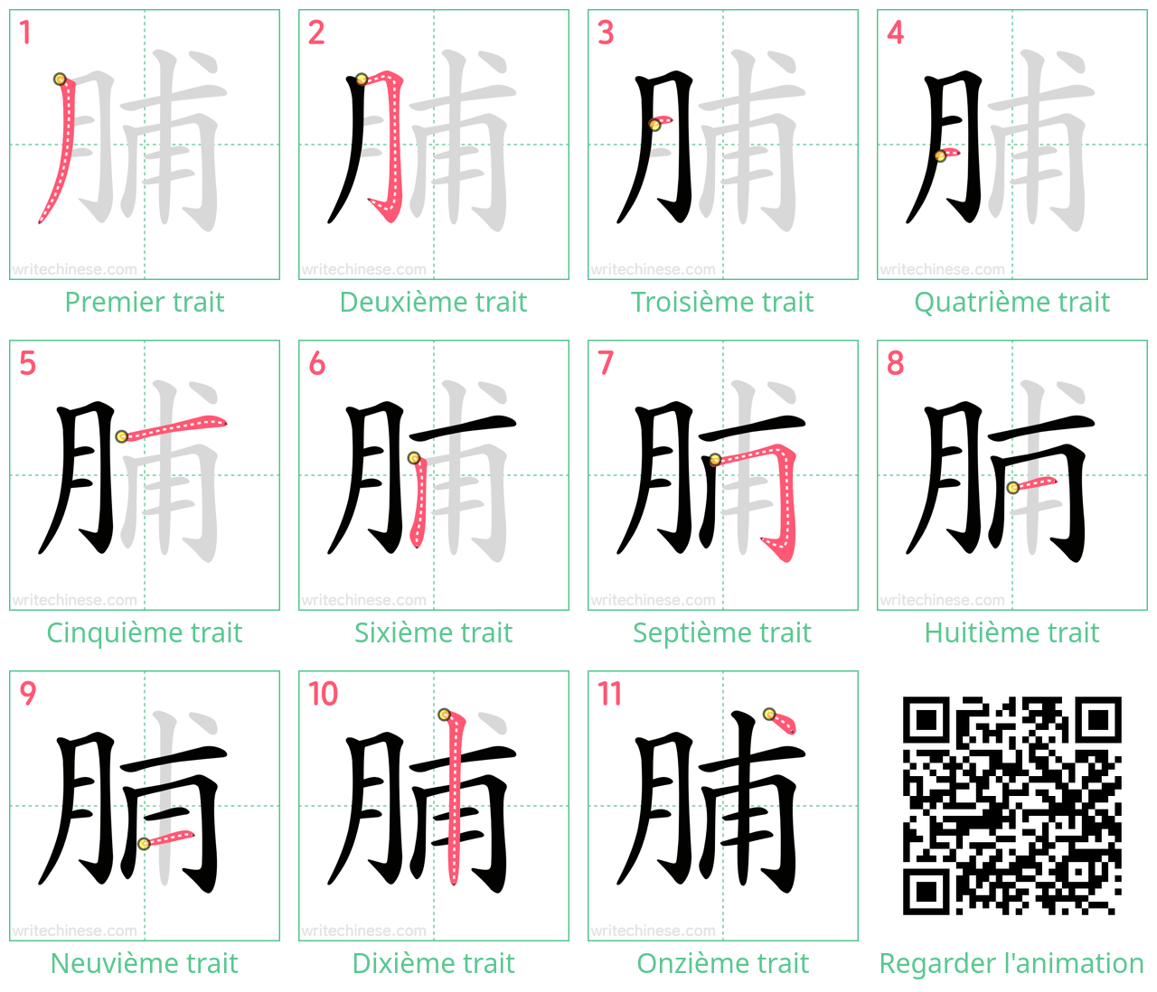 Diagrammes d'ordre des traits étape par étape pour le caractère 脯