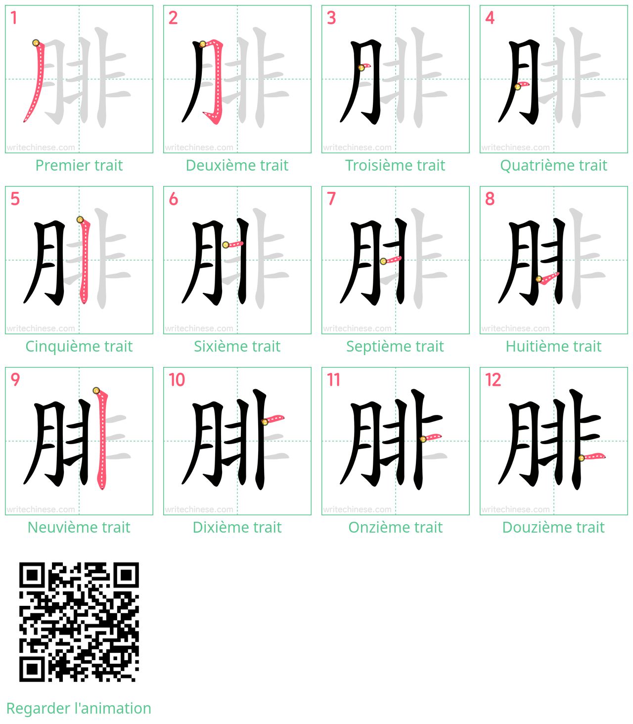 Diagrammes d'ordre des traits étape par étape pour le caractère 腓