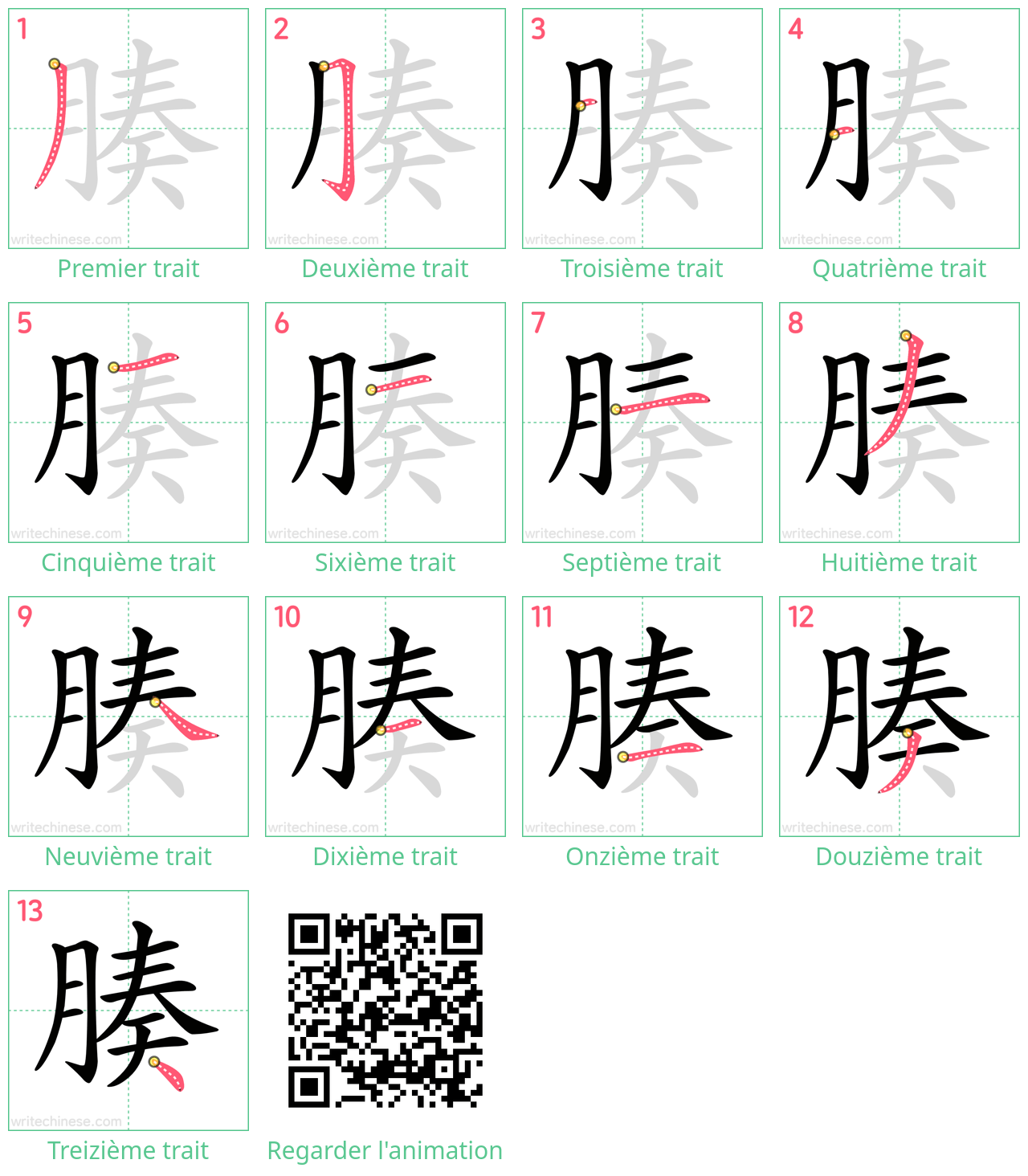 Diagrammes d'ordre des traits étape par étape pour le caractère 腠