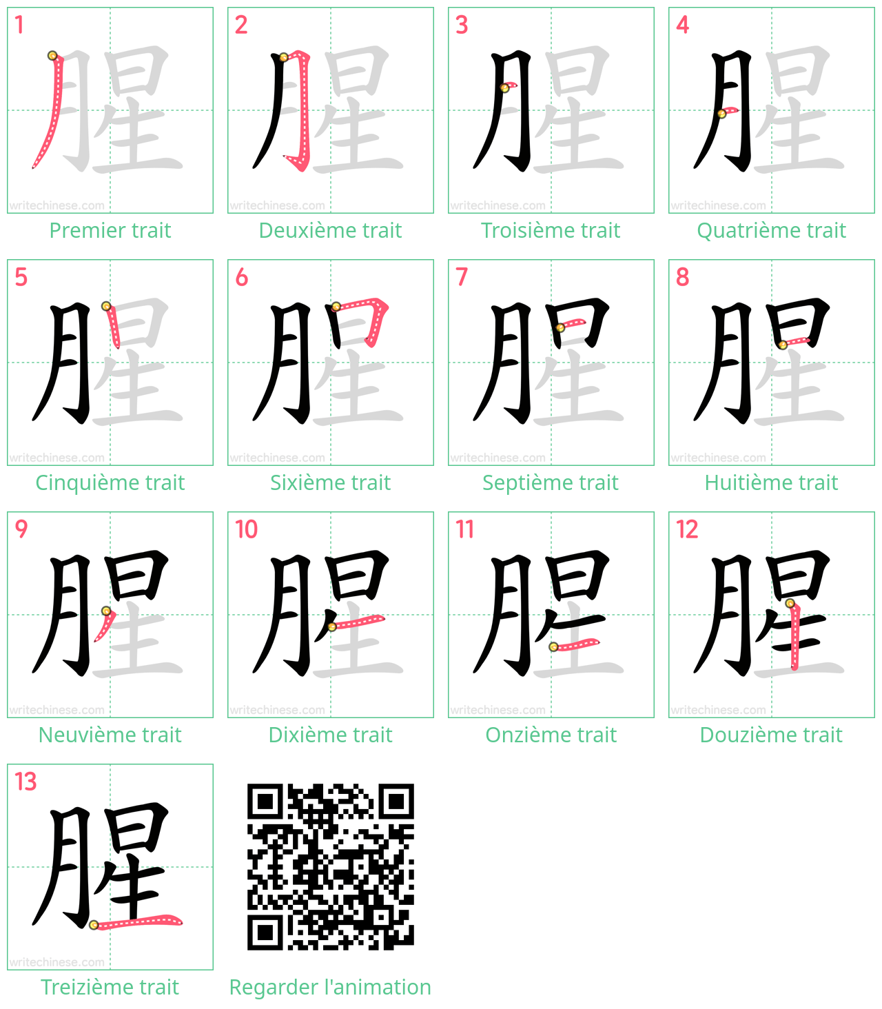 Diagrammes d'ordre des traits étape par étape pour le caractère 腥