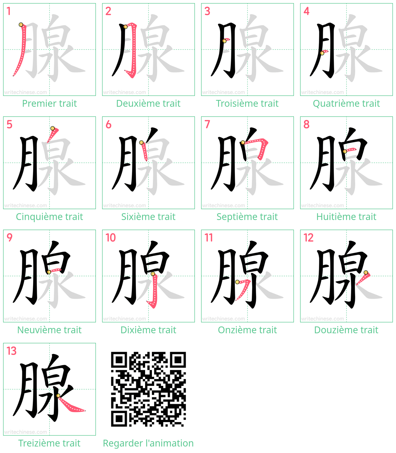 Diagrammes d'ordre des traits étape par étape pour le caractère 腺