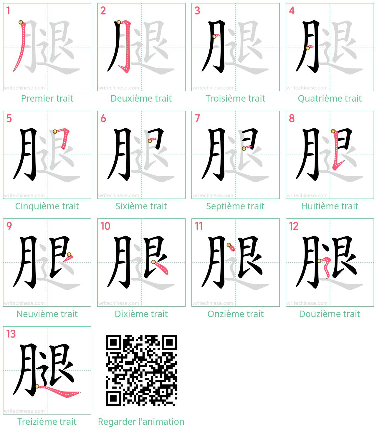 Diagrammes d'ordre des traits étape par étape pour le caractère 腿