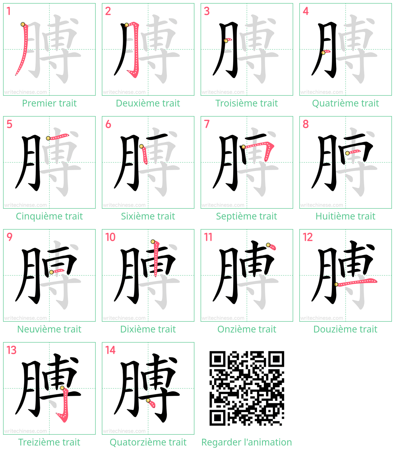 Diagrammes d'ordre des traits étape par étape pour le caractère 膊