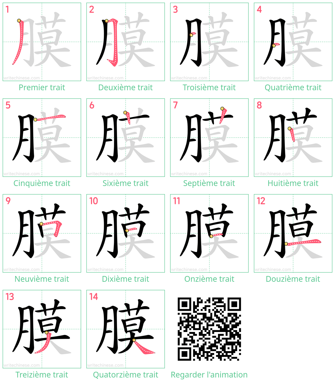 Diagrammes d'ordre des traits étape par étape pour le caractère 膜