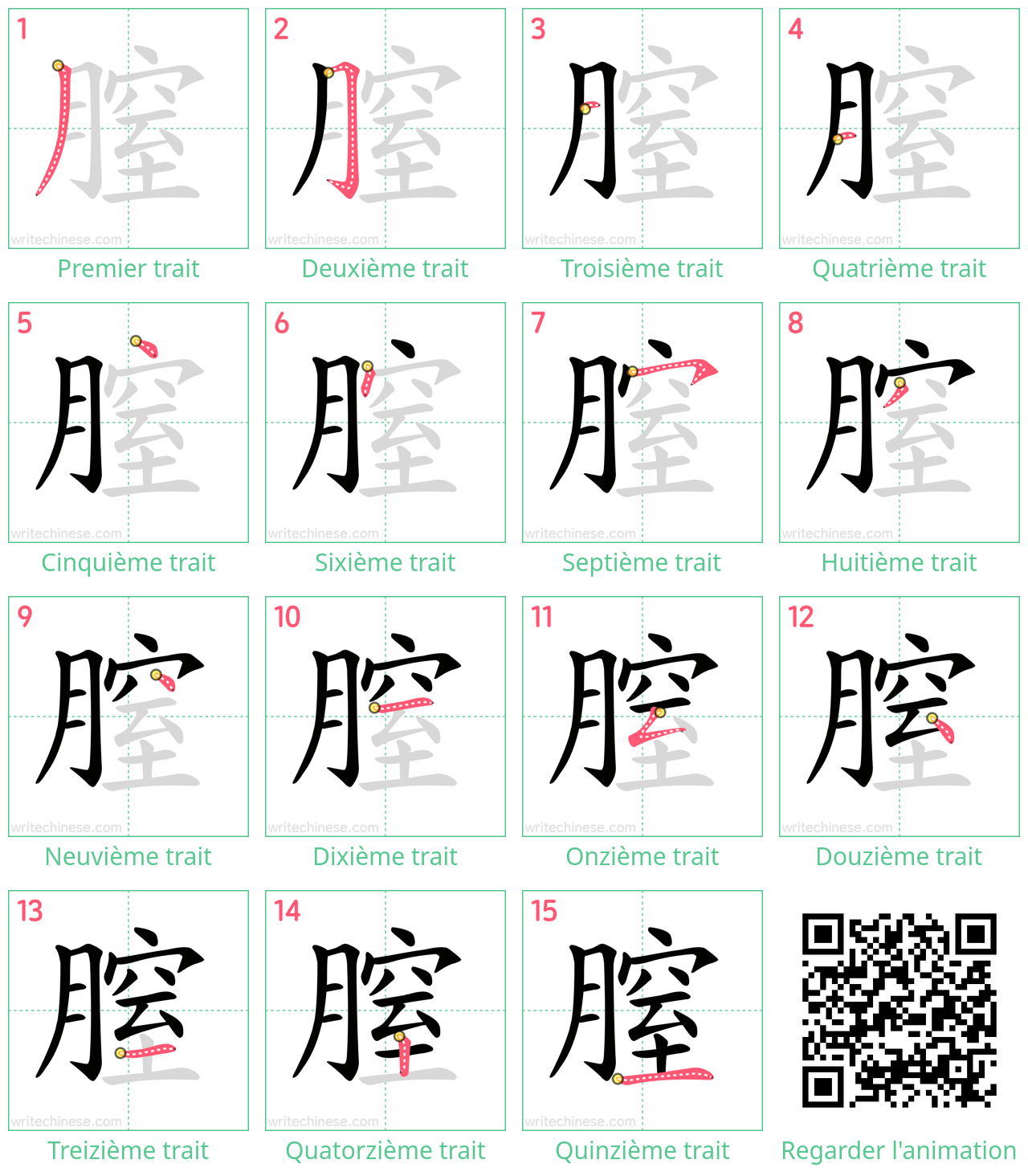 Diagrammes d'ordre des traits étape par étape pour le caractère 膣