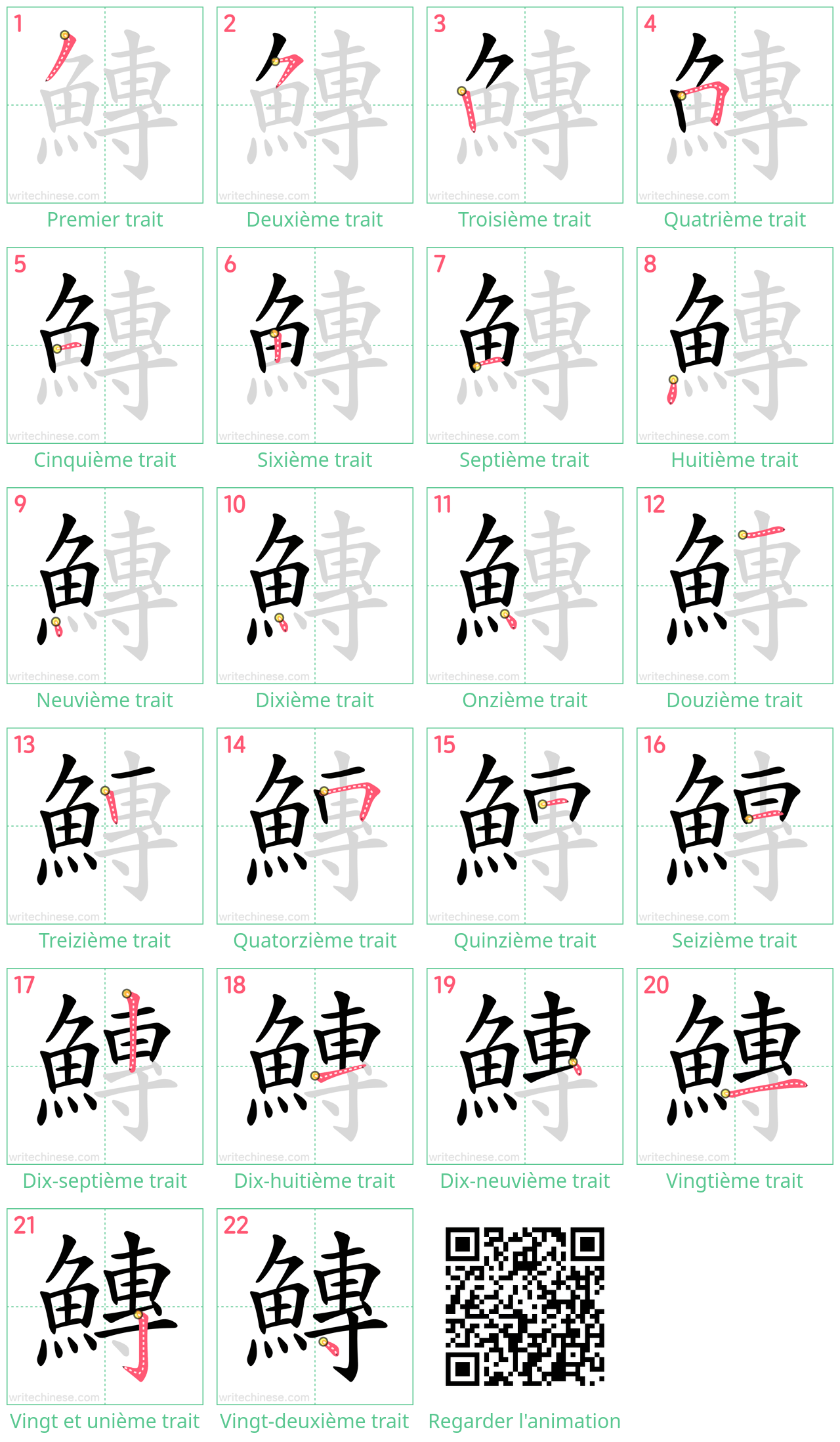 Diagrammes d'ordre des traits étape par étape pour le caractère 鱄