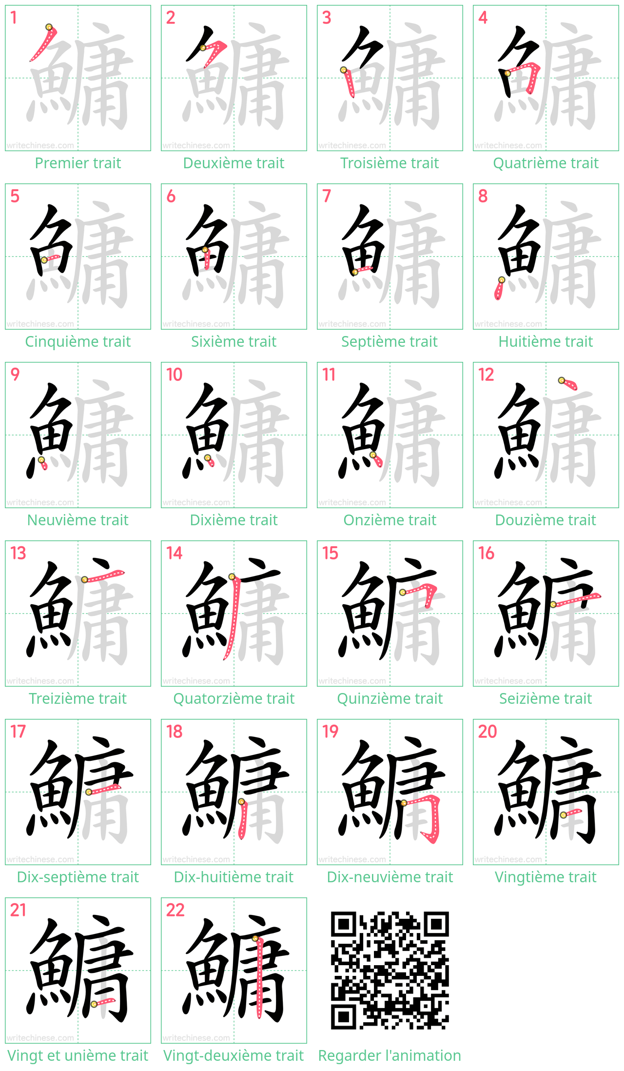Diagrammes d'ordre des traits étape par étape pour le caractère 鱅